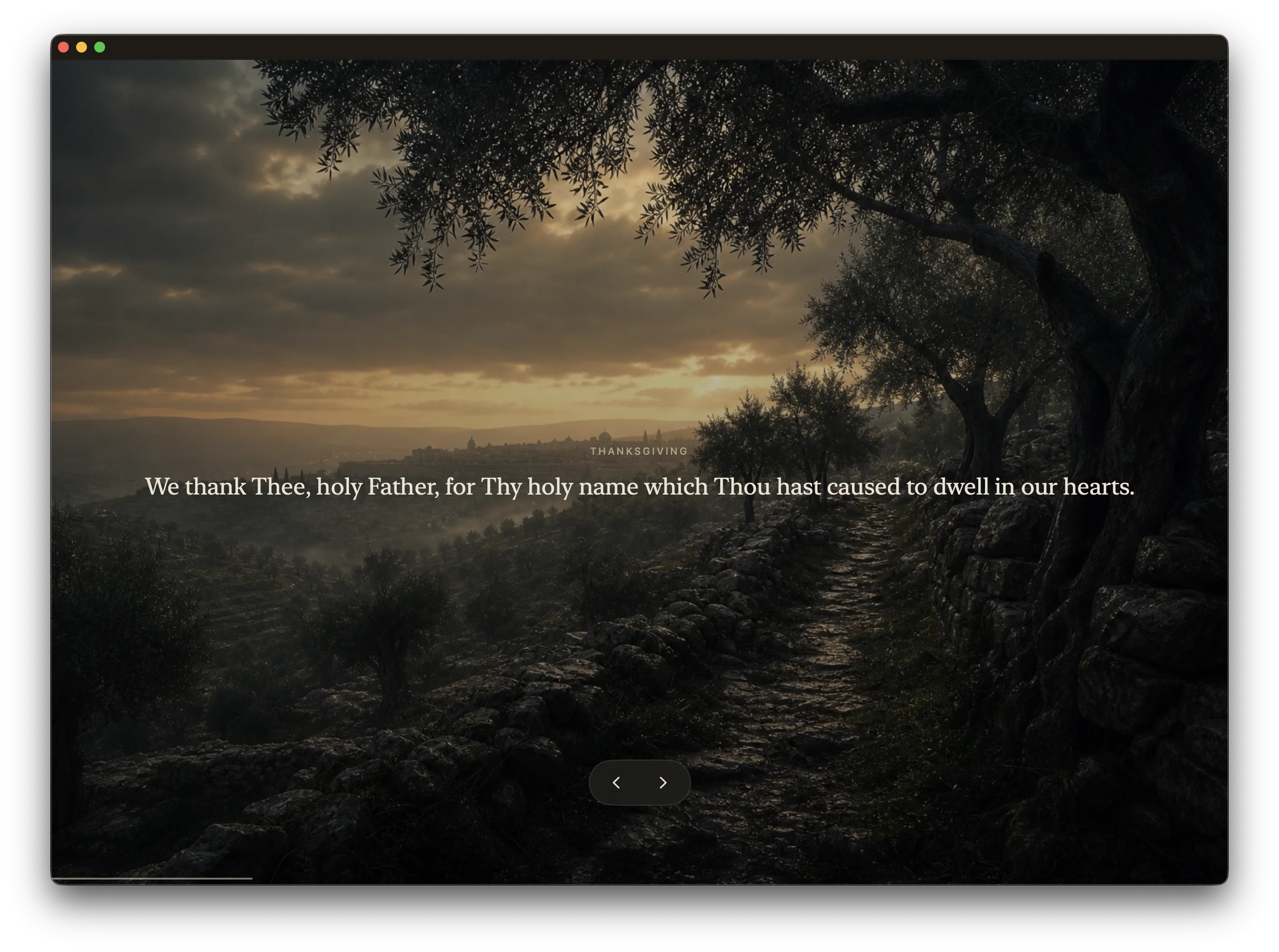 Maranatha full-screen thanksgiving prayer view over an olive path